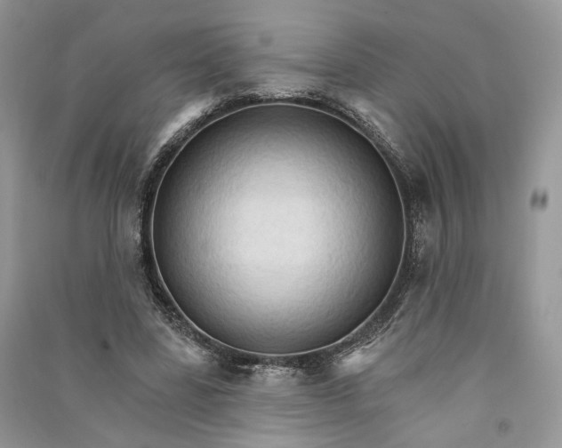 X0000090910539200708131414