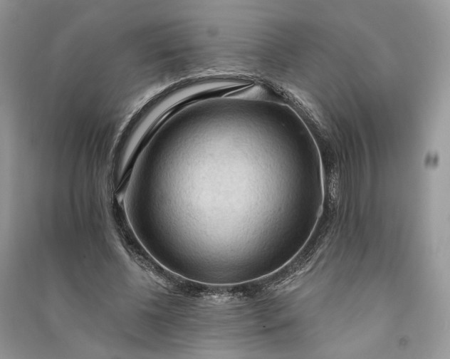 X0000090910540200708131414