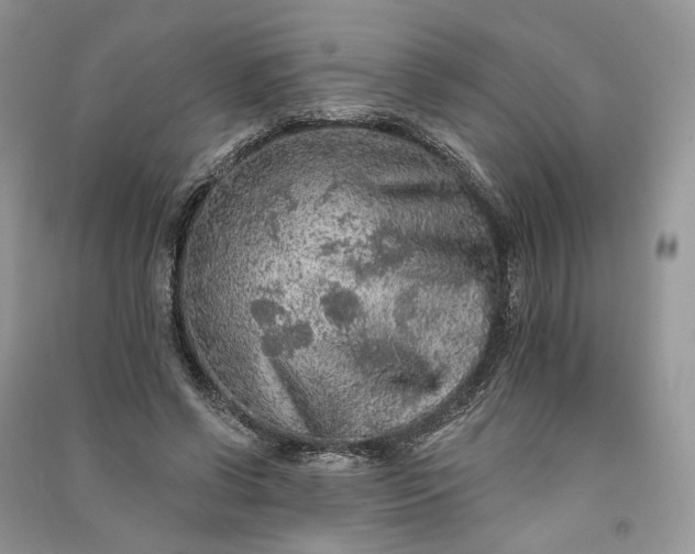 X0000090910542200708131414