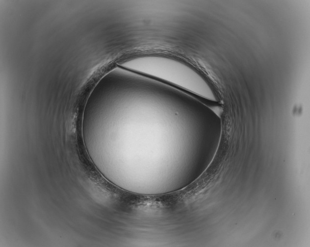 X0000090910543200708131414