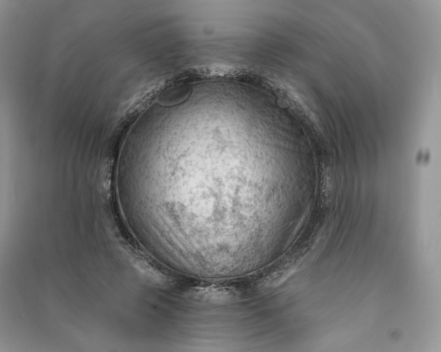 X0000090910545200708131414