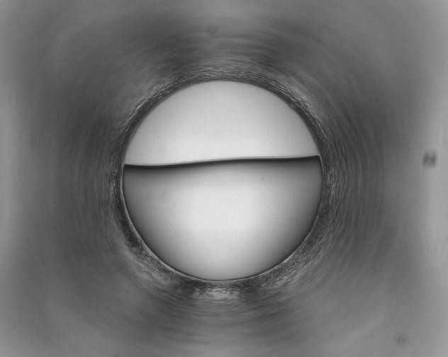 X0000090910546200708131414