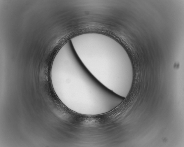 X0000090910547200708131414