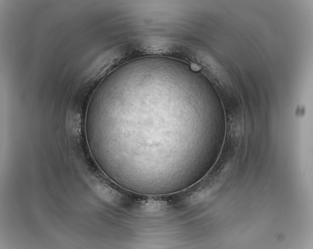 X0000090910549200708131414