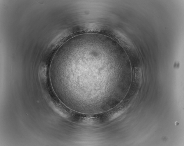 X0000090910550200708131414