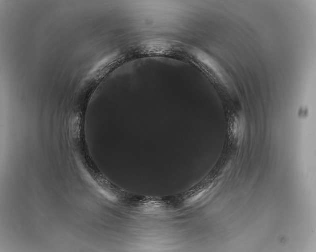 X0000090910551200708131414