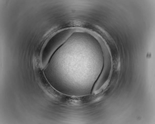 X0000090910552200708131414