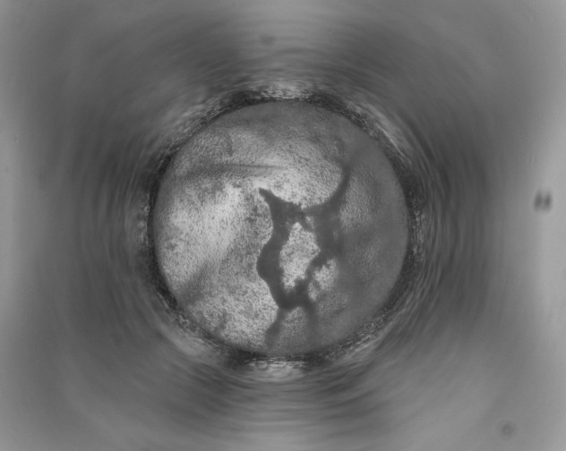 X0000090910553200708131414