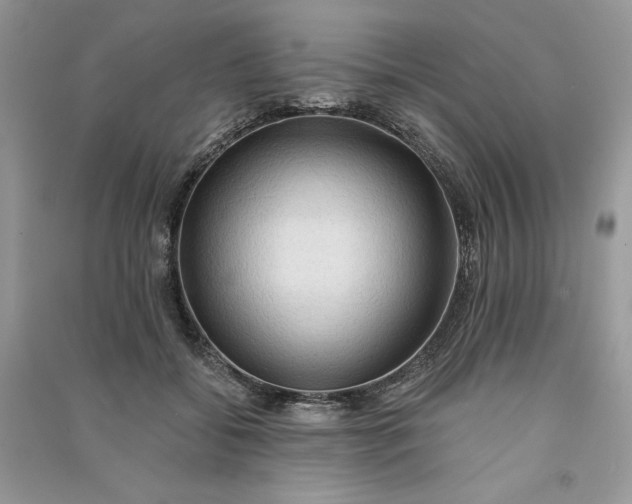 X0000090910556200708131414