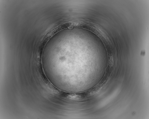 X0000090910557200708131414