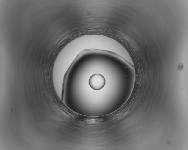 X0000090910558200708131414