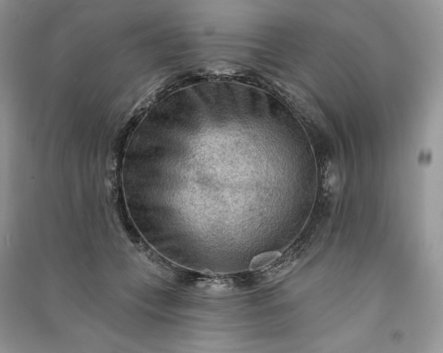 X0000090910559200708131414