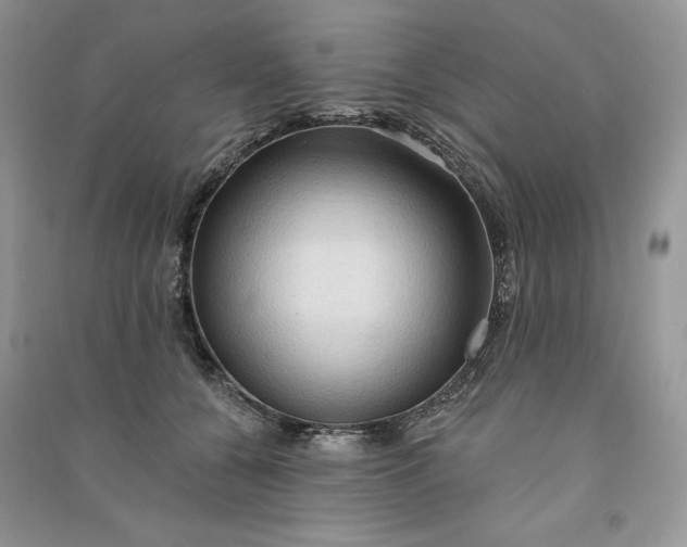 X0000090910560200708131414