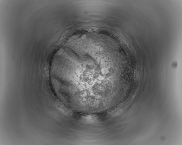 X0000090910561200708131414