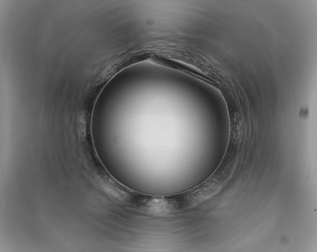 X0000090910562200708131414