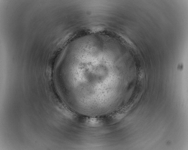 X0000090910565200708131415