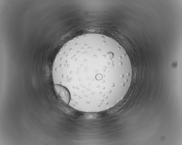 X0000090910569200708131415