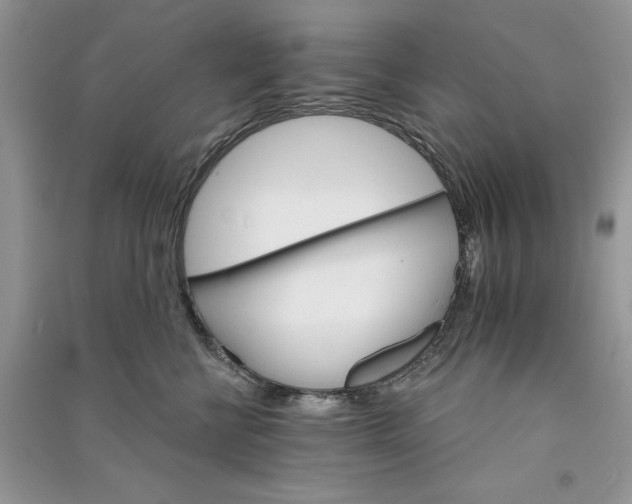 X0000090910570200708131415