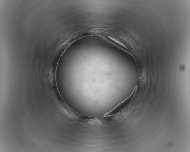 X0000090910572200708131415