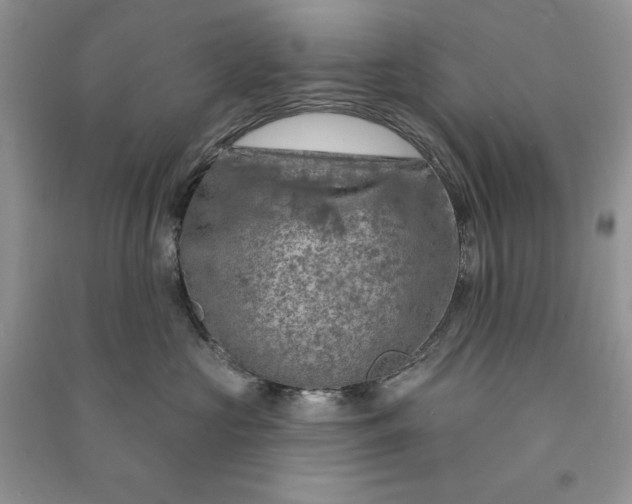 X0000090910573200708131415