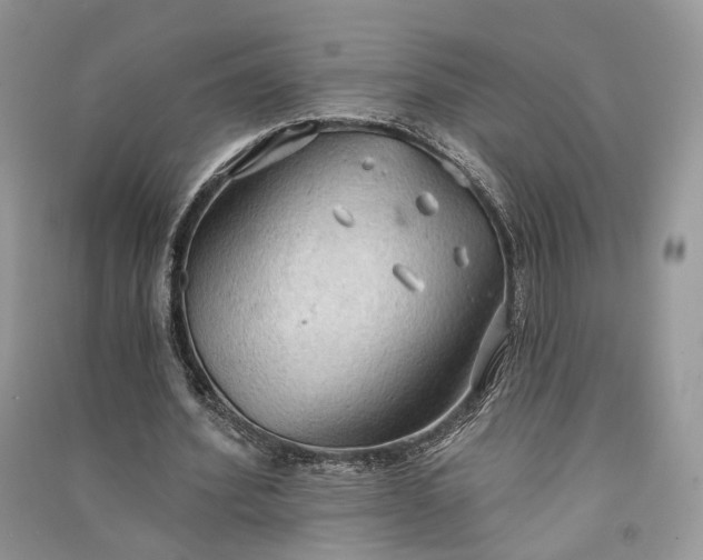 X0000090910580200708131414