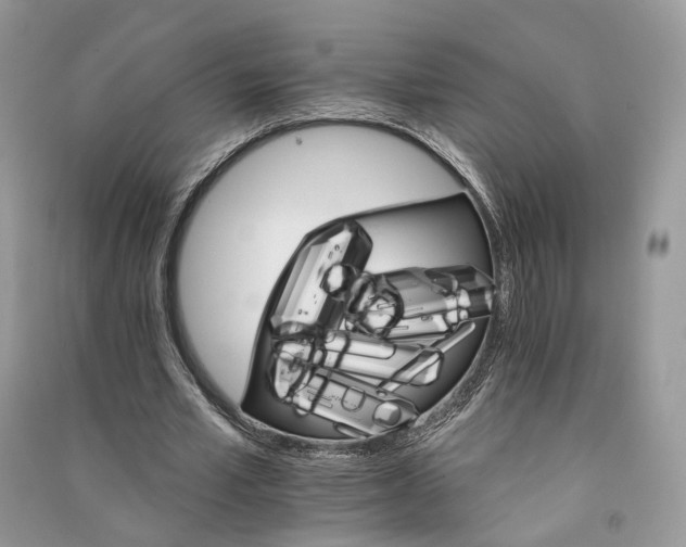 X0000090910581200708131414