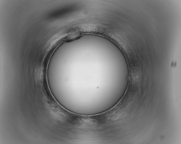 X0000090910583200708131414