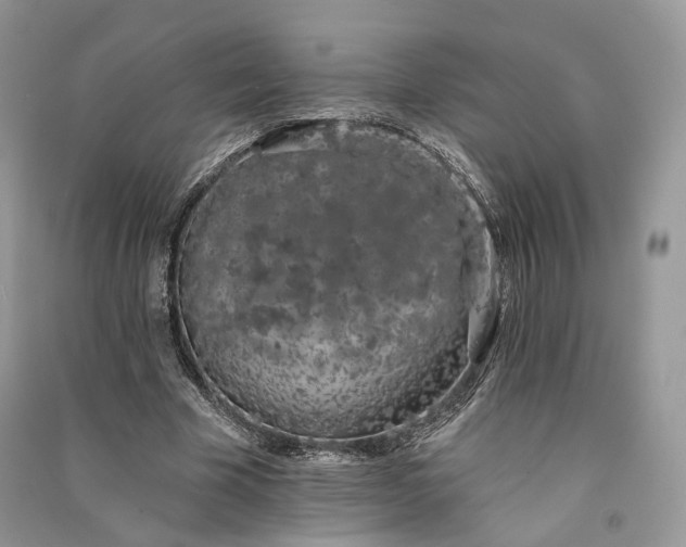 X0000090910585200708131414