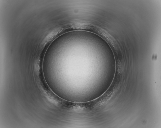 X0000090910586200708131414