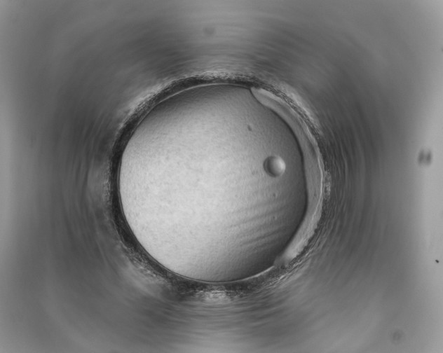 X0000090910588200708131414