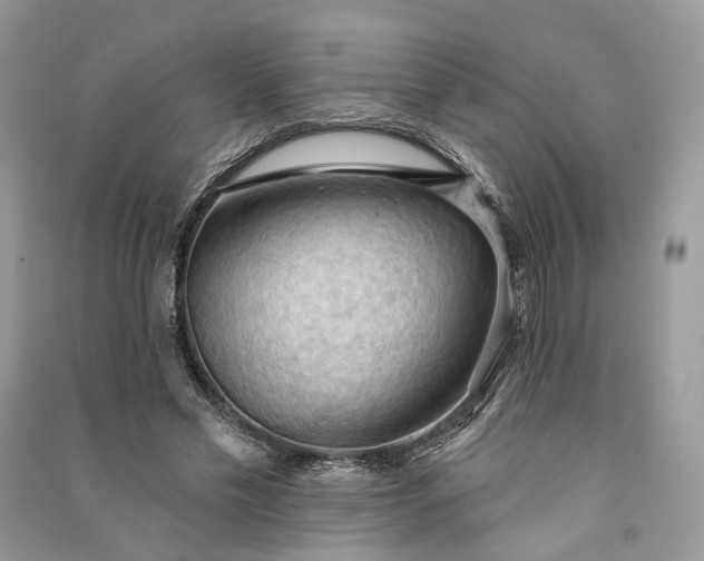 X0000090910589200708131414