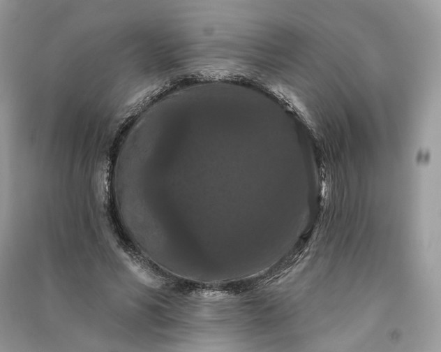 X0000090910590200708131414