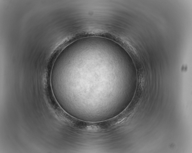 X0000090910591200708131414