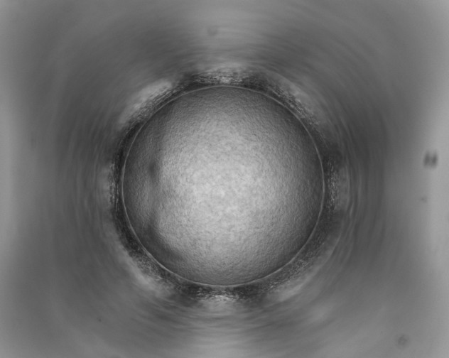 X0000090910594200708131414