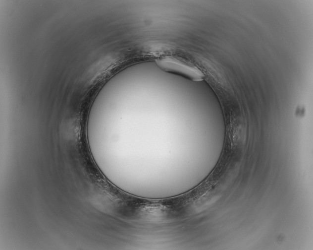 X0000090910595200708131414