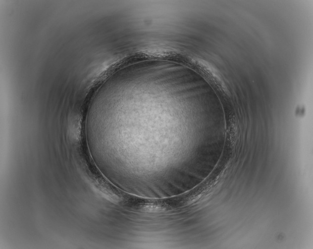 X0000090910596200708131414