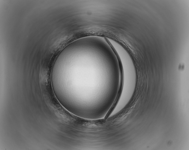 X0000090910597200708131414