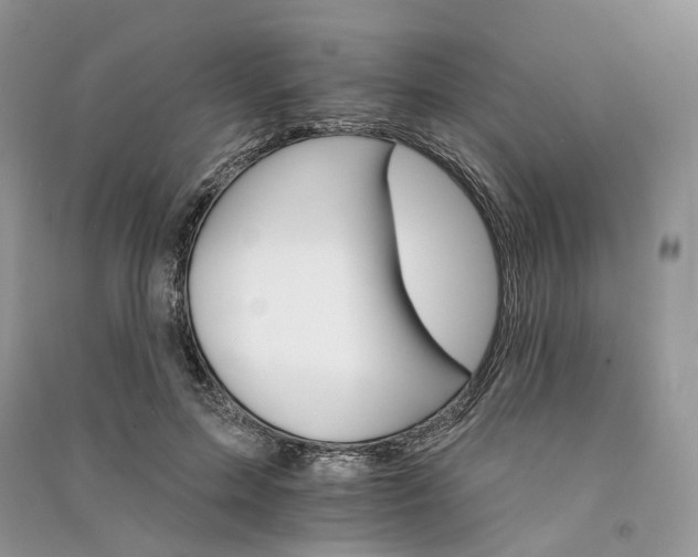 X0000090910599200708131414