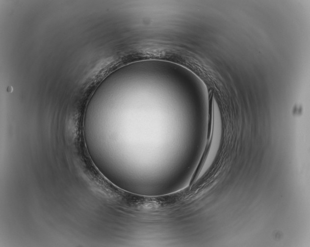 X0000090910600200708131414