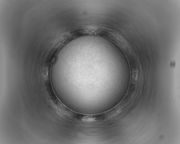 X0000090910602200708131414