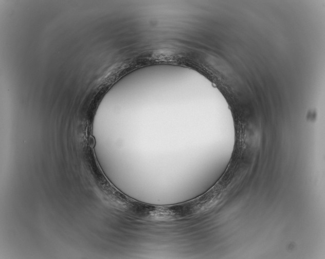 X0000090910603200708131414