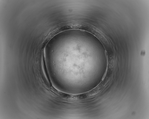 X0000090910604200708131414