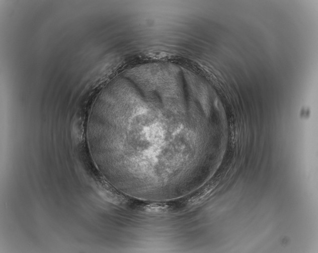 X0000090910606200708131414