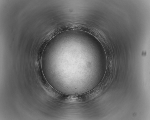 X0000090910607200708131414