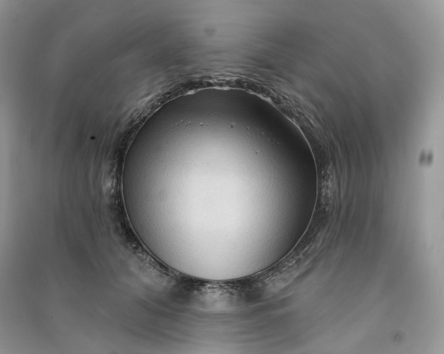 X0000090910608200708131414