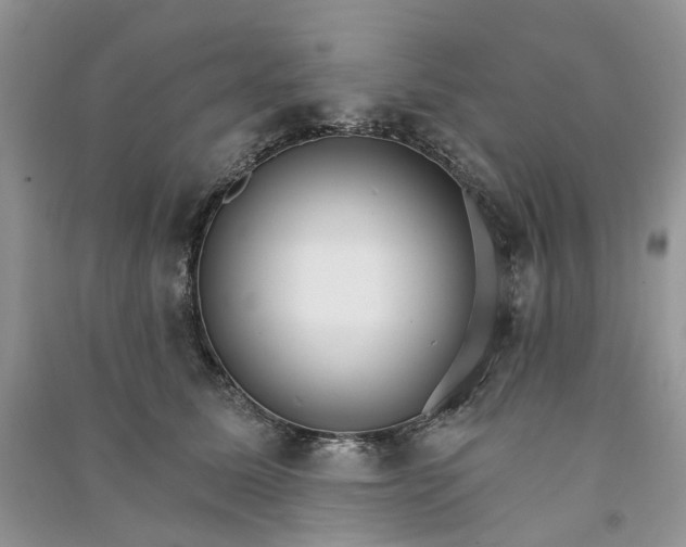 X0000090910611200708131414