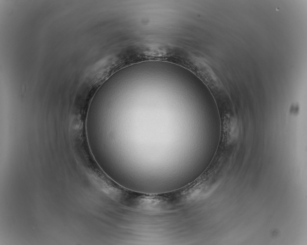 X0000090910614200708131414