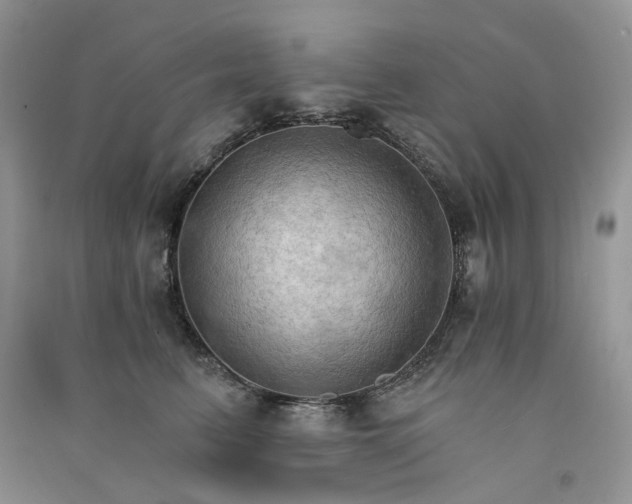 X0000090910615200708131414