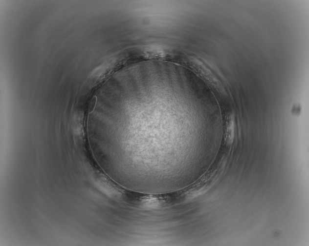 X0000090910616200708131414