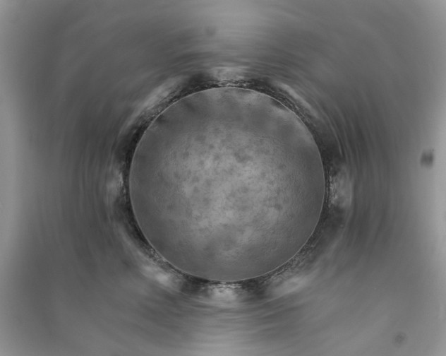 X0000090910618200708131414